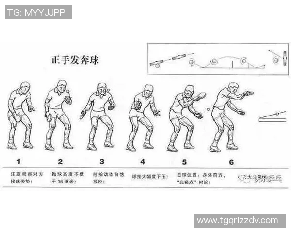 李静独家分享乒乓球技巧与心得助你提升球技的全面指南