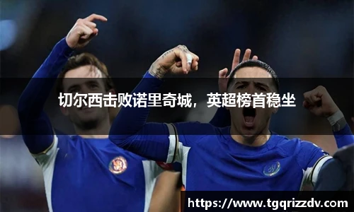 切尔西击败诺里奇城，英超榜首稳坐